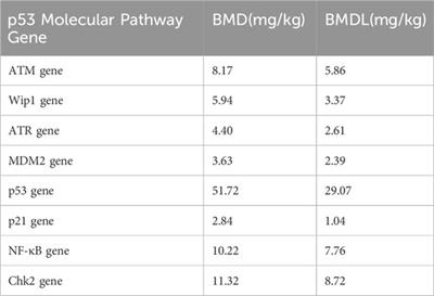 Quantitative study on hepatic genotoxicity of neodymium and its molecular mechanisms based on Benchmark Dose method